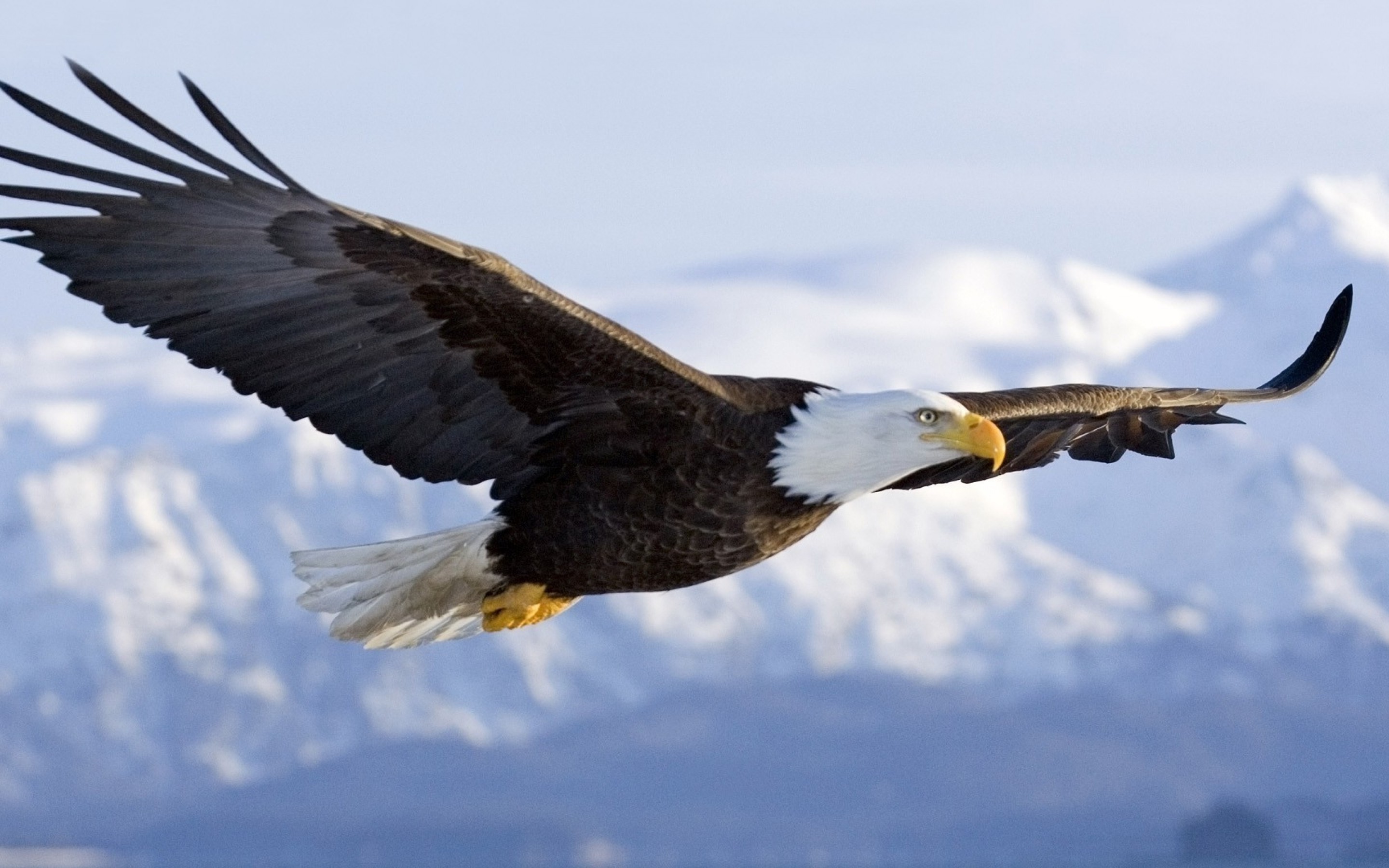 soar on eagles wings prayer